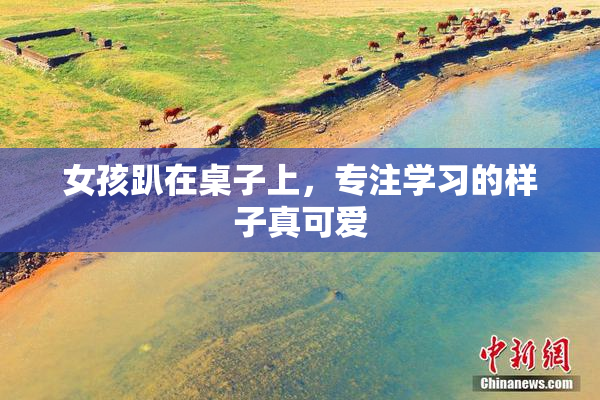 女孩趴在桌子上，专注学习的样子真可爱