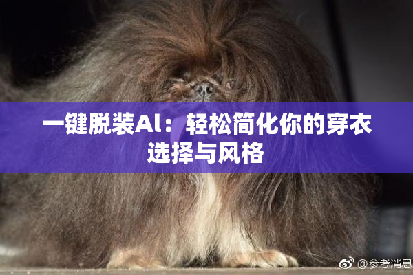 一键脱装Al：轻松简化你的穿衣选择与风格