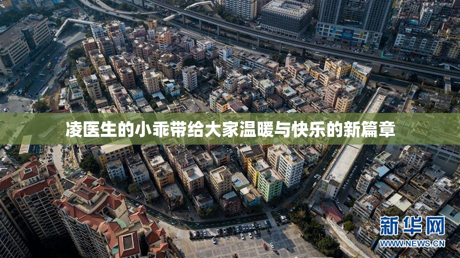 凌医生的小乖带给大家温暖与快乐的新篇章