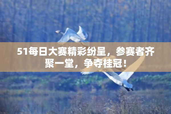 51每日大赛精彩纷呈，参赛者齐聚一堂，争夺桂冠！
