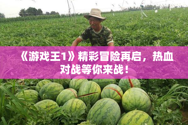 《游戏王1》精彩冒险再启，热血对战等你来战！