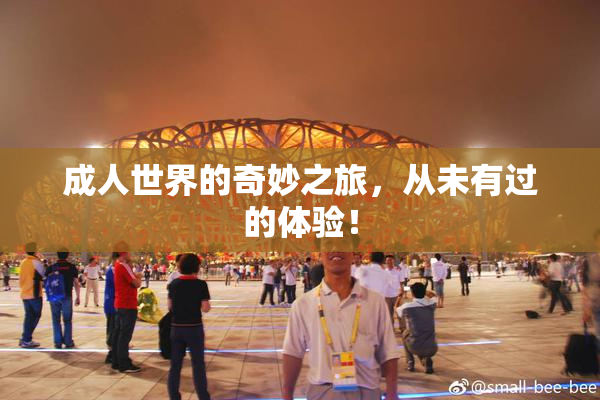 成人世界的奇妙之旅，从未有过的体验！