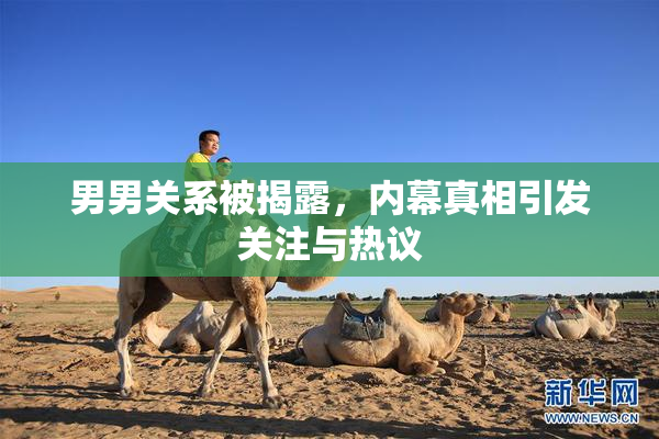 男男关系被揭露，内幕真相引发关注与热议