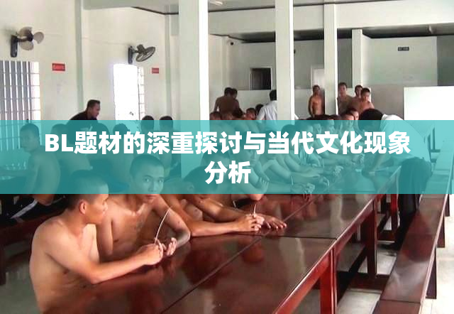 BL题材的深重探讨与当代文化现象分析
