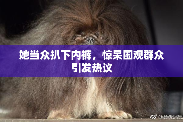 她当众扒下内裤，惊呆围观群众引发热议