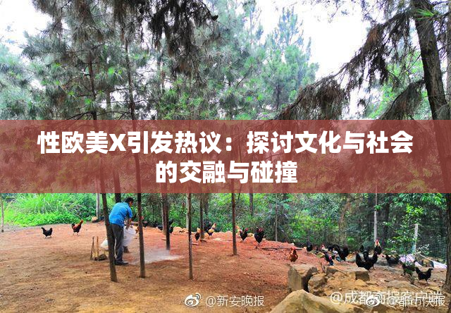性欧美X引发热议：探讨文化与社会的交融与碰撞