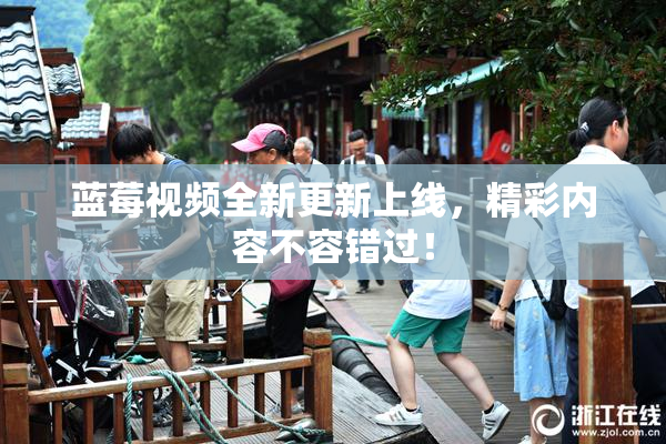 蓝莓视频全新更新上线，精彩内容不容错过！