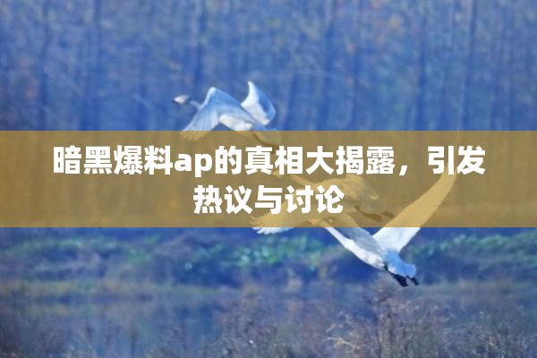 暗黑爆料ap的真相大揭露，引发热议与讨论