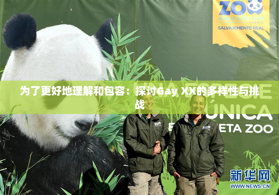 为了更好地理解和包容：探讨Gay XX的多样性与挑战