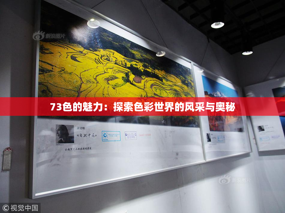 73色的魅力：探索色彩世界的风采与奥秘