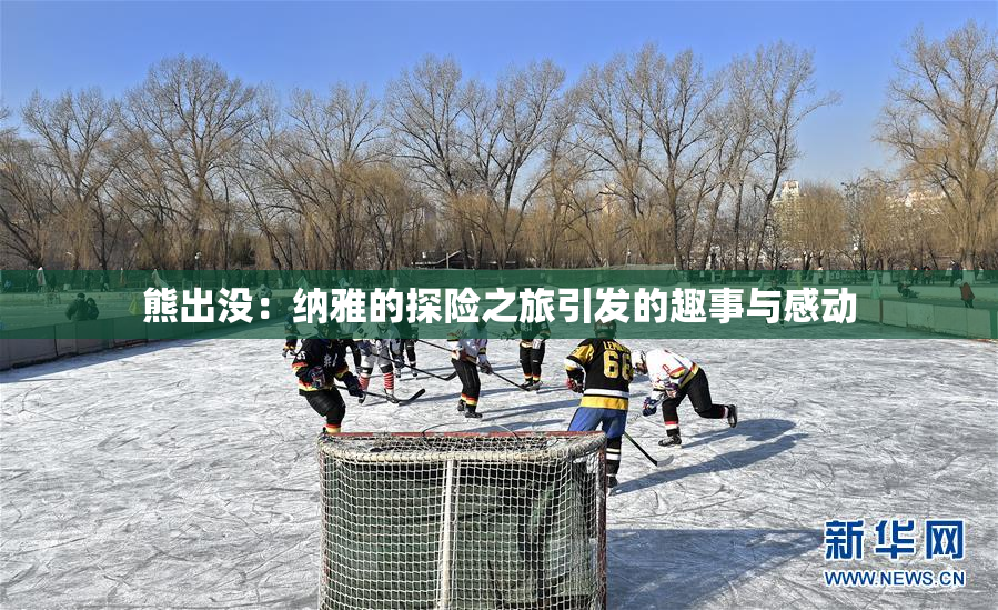 熊出没：纳雅的探险之旅引发的趣事与感动