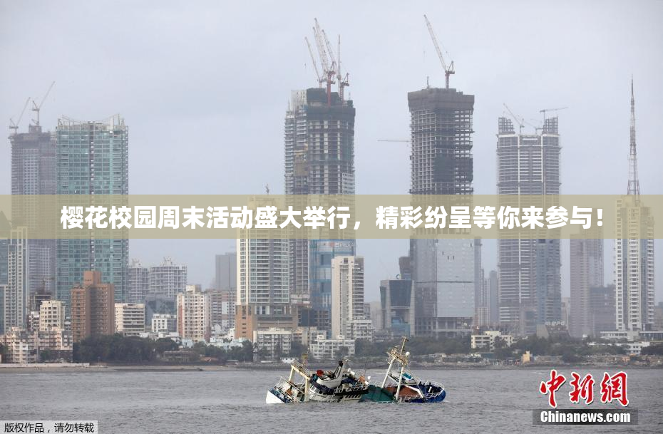 樱花校园周末活动盛大举行，精彩纷呈等你来参与！