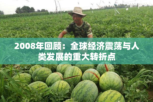 2008年回顾：全球经济震荡与人类发展的重大转折点