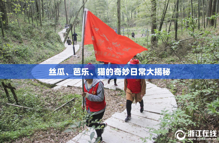 丝瓜、芭乐、猫的奇妙日常大揭秘