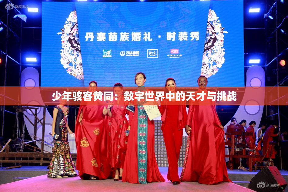 少年骇客黄同：数字世界中的天才与挑战