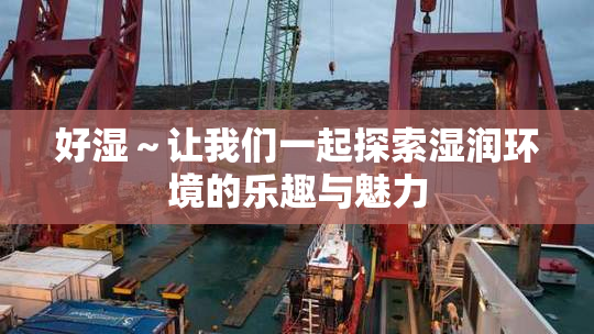 好湿～让我们一起探索湿润环境的乐趣与魅力