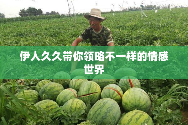 伊人久久带你领略不一样的情感世界