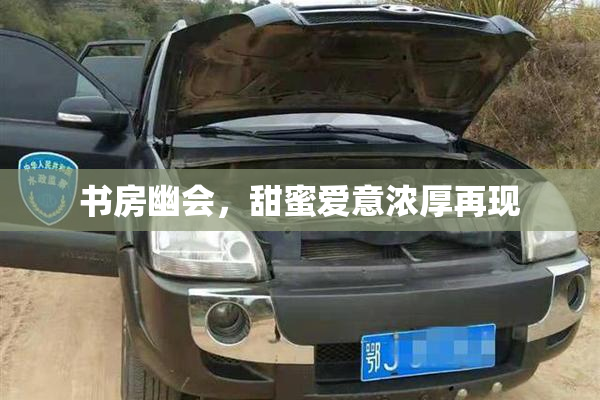 书房幽会，甜蜜爱意浓厚再现