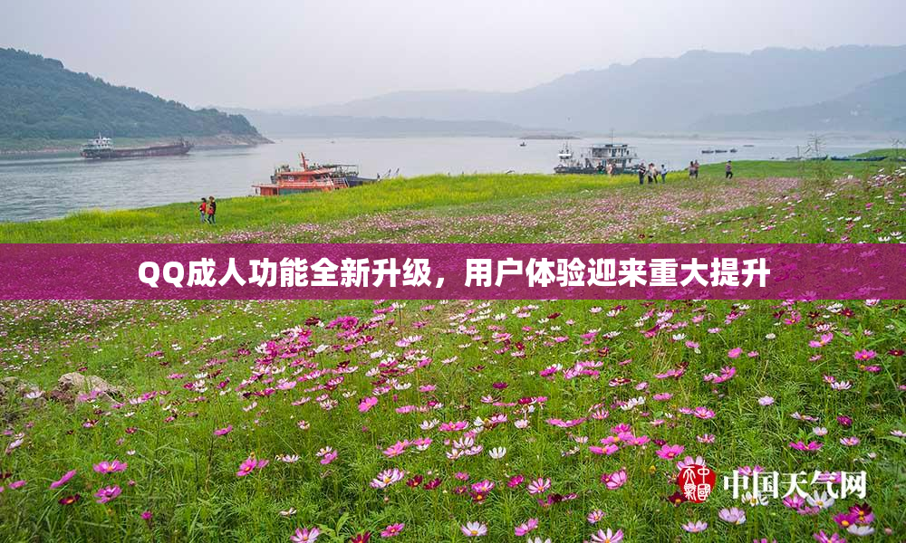 QQ成人功能全新升级，用户体验迎来重大提升