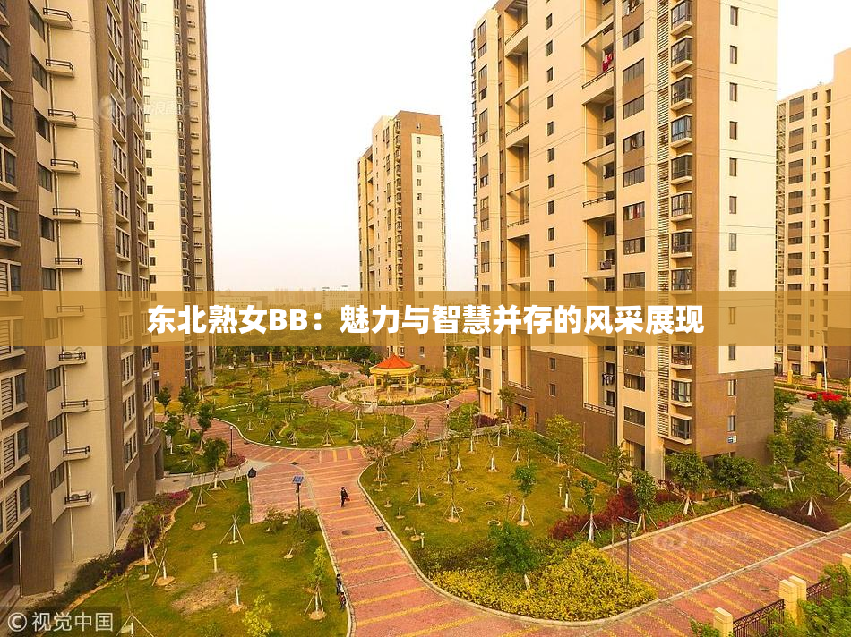 东北熟女BB：魅力与智慧并存的风采展现