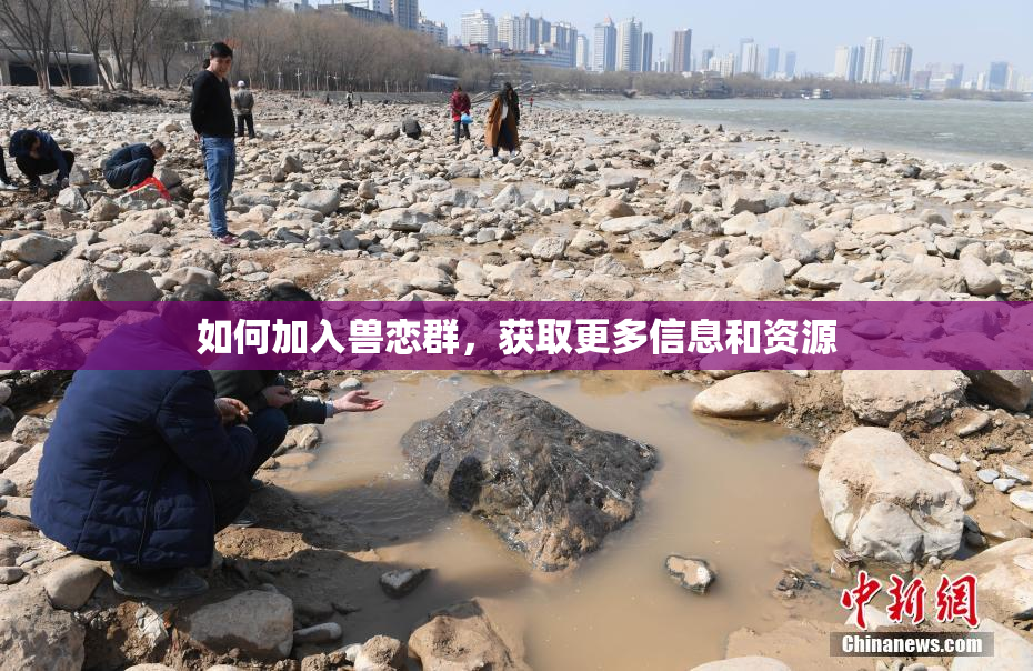 如何加入兽恋群，获取更多信息和资源