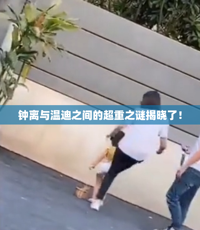 钟离与温迪之间的超重之谜揭晓了！