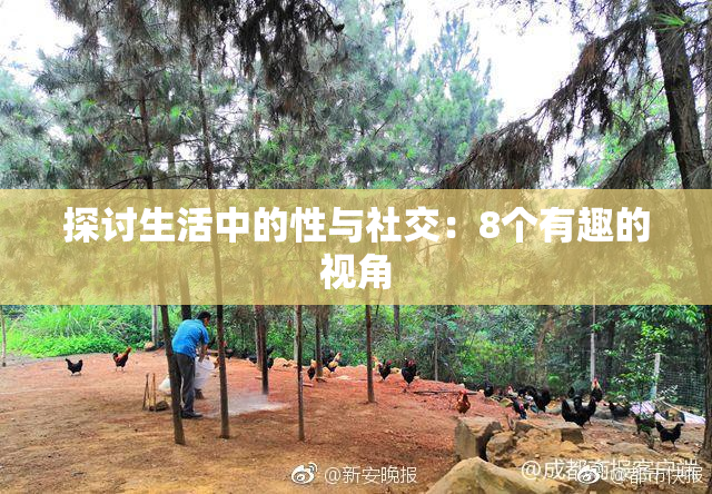 探讨生活中的性与社交：8个有趣的视角