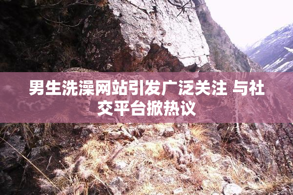 男生洗澡网站引发广泛关注 与社交平台掀热议