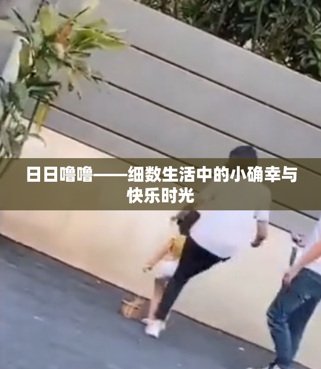 日日噜噜——细数生活中的小确幸与快乐时光