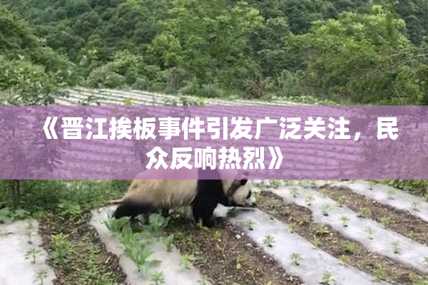 《晋江挨板事件引发广泛关注，民众反响热烈》