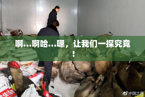 啊…啊哈…嗯，让我们一探究竟！