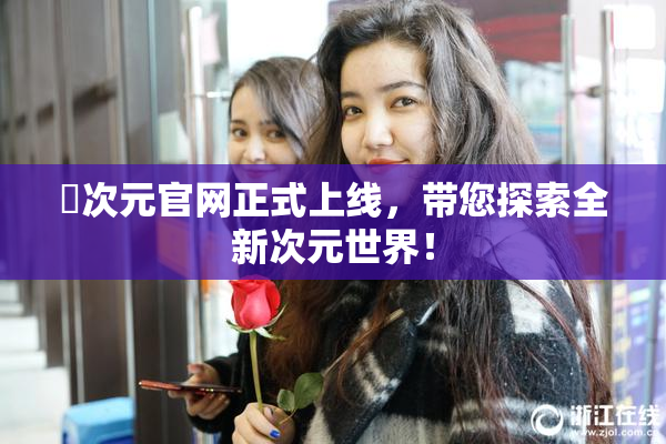 囧次元官网正式上线，带您探索全新次元世界！