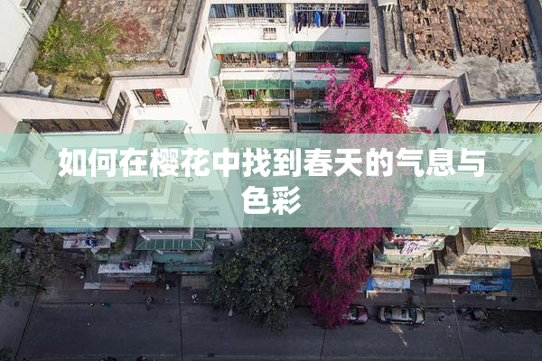 如何在樱花中找到春天的气息与色彩