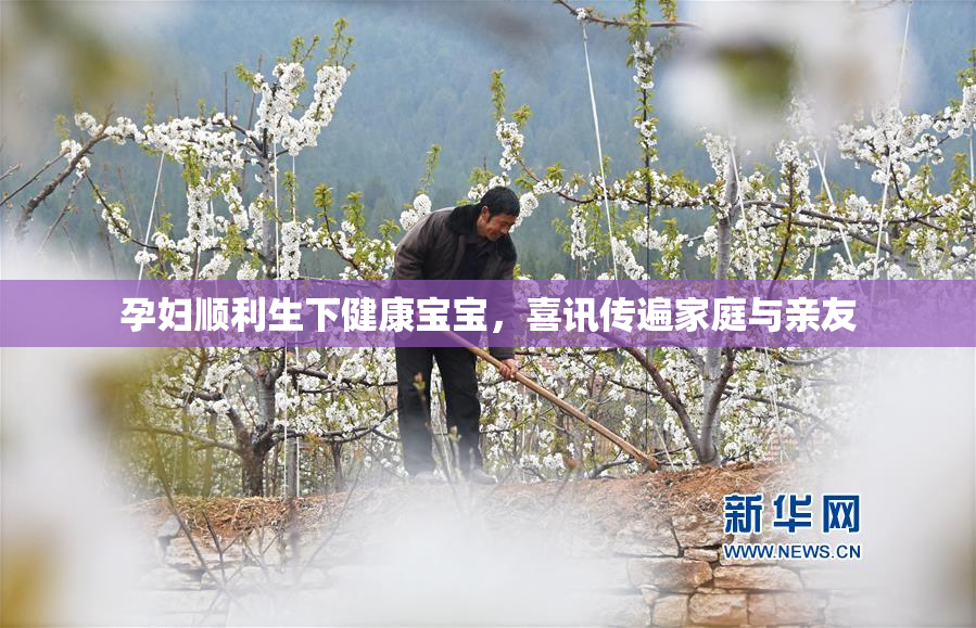 孕妇顺利生下健康宝宝，喜讯传遍家庭与亲友