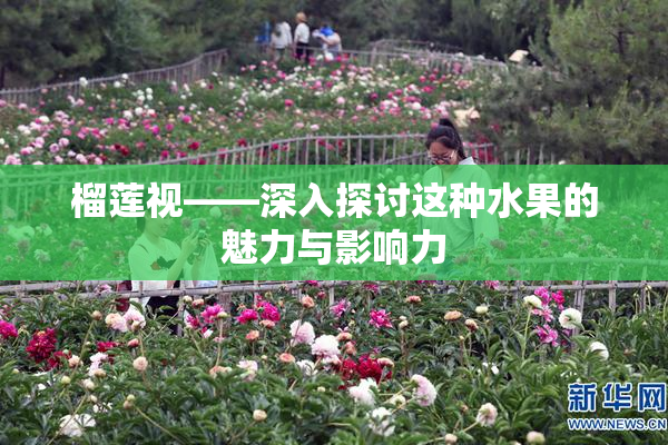 榴莲视——深入探讨这种水果的魅力与影响力