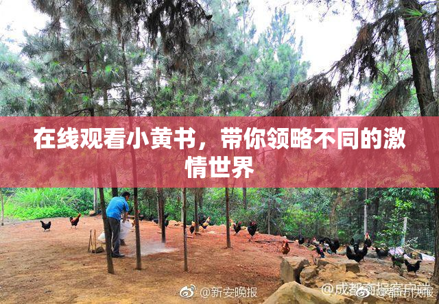 在线观看小黄书，带你领略不同的激情世界