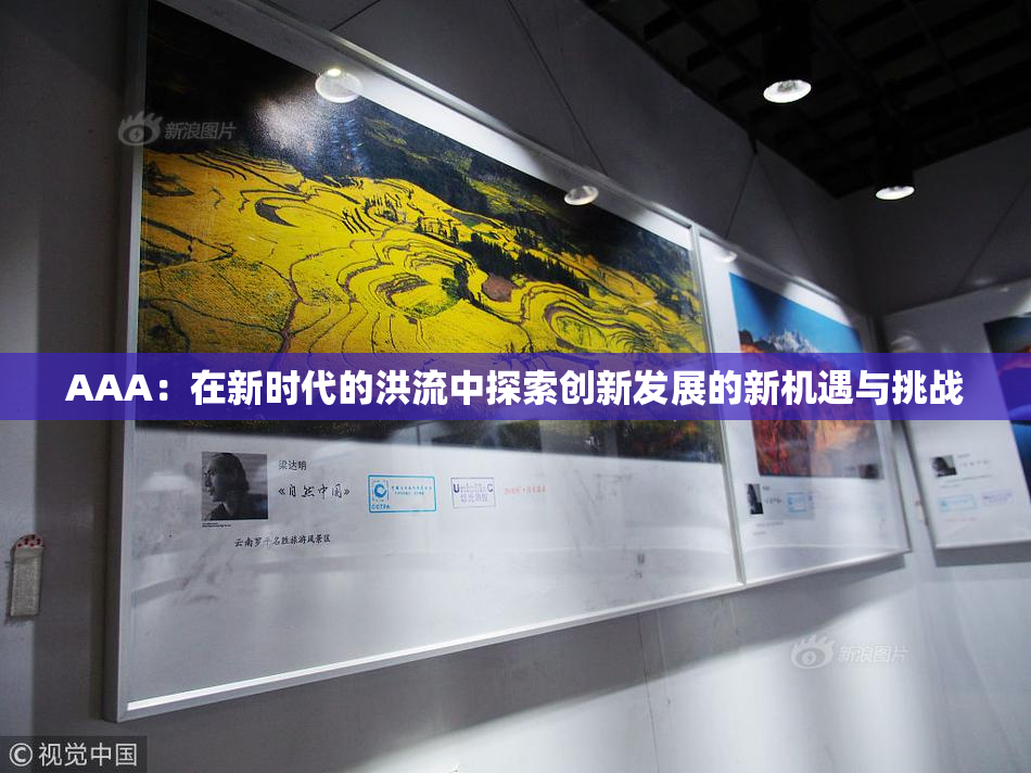 AAA：在新时代的洪流中探索创新发展的新机遇与挑战