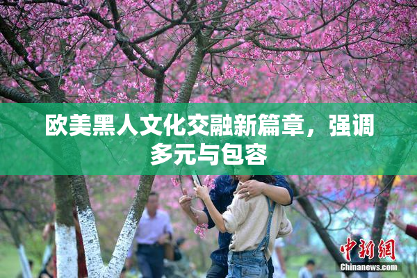 欧美黑人文化交融新篇章，强调多元与包容