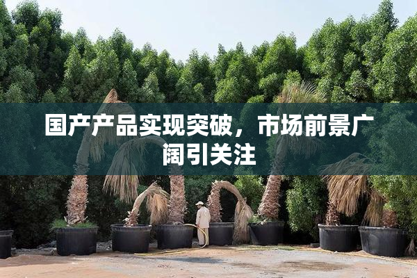 国产产品实现突破，市场前景广阔引关注