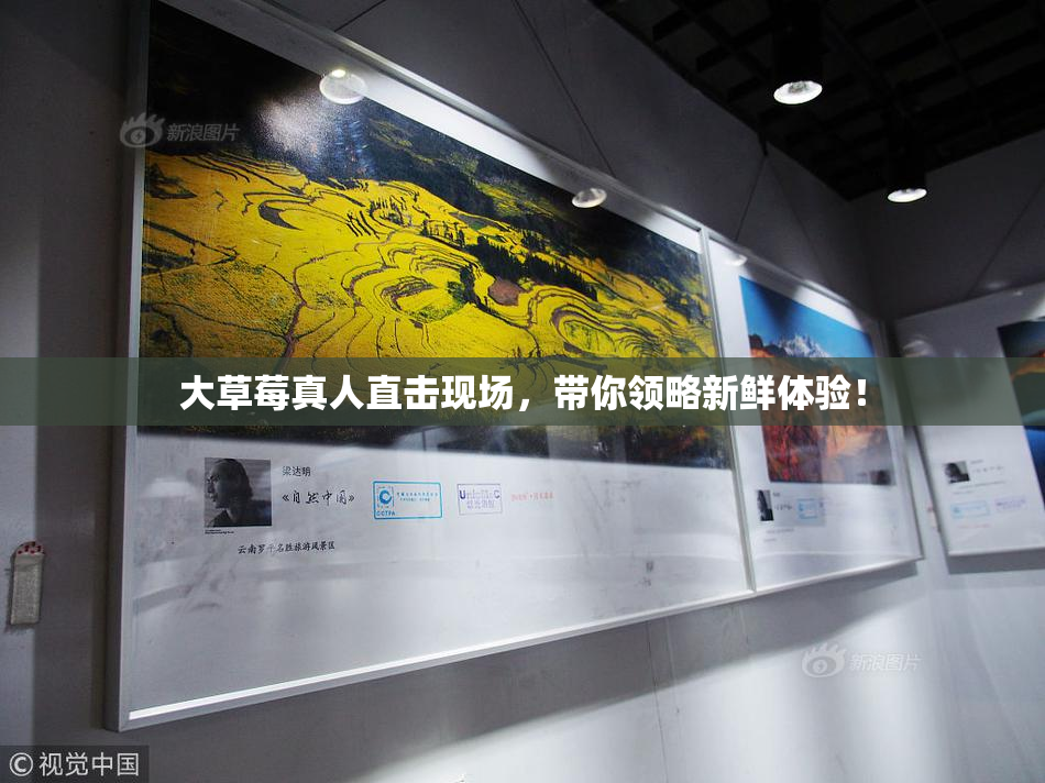大草莓真人直击现场，带你领略新鲜体验！