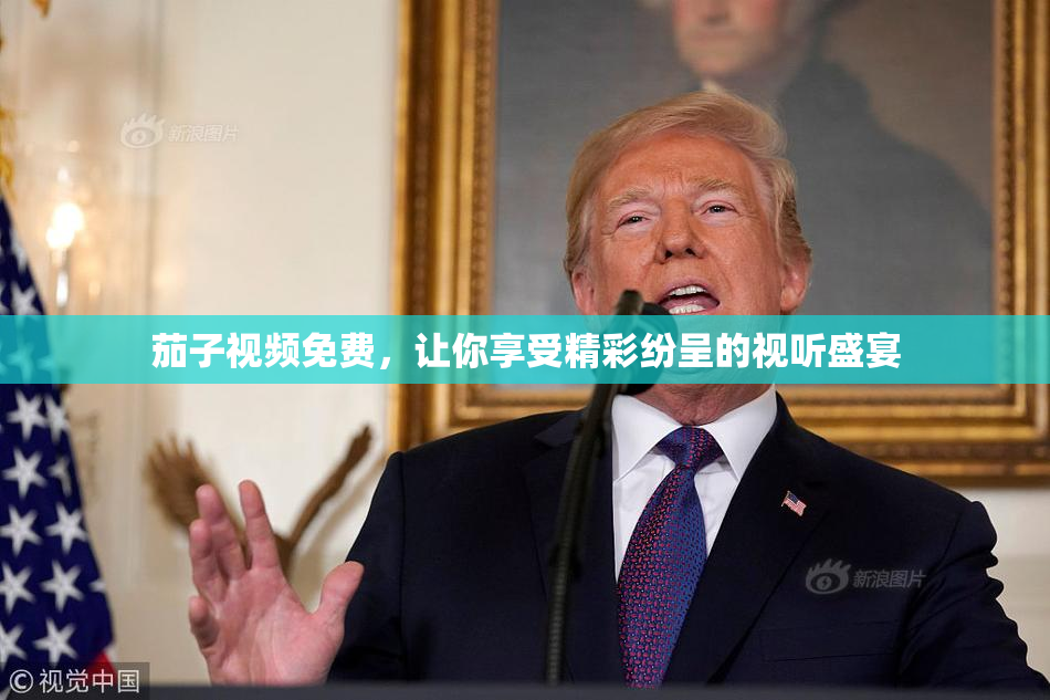 茄子视频免费，让你享受精彩纷呈的视听盛宴