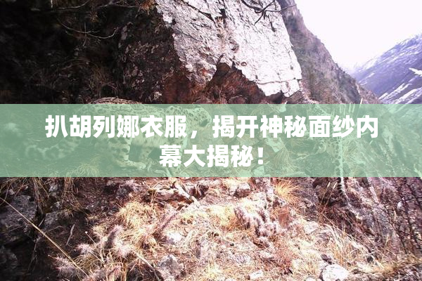 扒胡列娜衣服，揭开神秘面纱内幕大揭秘！