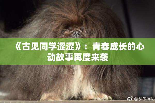 《古见同学涩涩》：青春成长的心动故事再度来袭