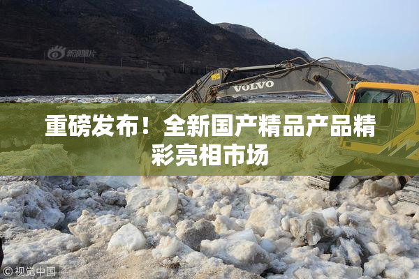 重磅发布！全新国产精品产品精彩亮相市场