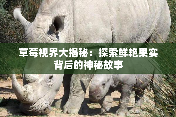 草莓视界大揭秘：探索鲜艳果实背后的神秘故事