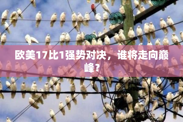 欧美17比1强势对决，谁将走向巅峰？
