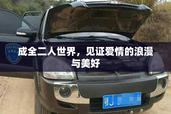 成全二人世界，见证爱情的浪漫与美好