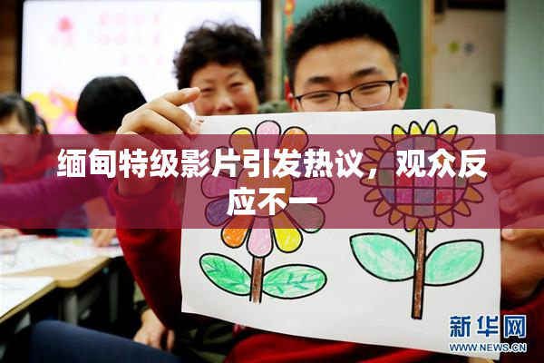 缅甸特级影片引发热议，观众反应不一
