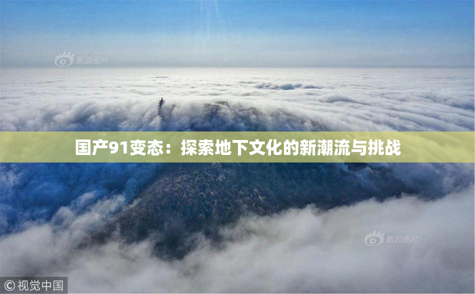 国产91变态：探索地下文化的新潮流与挑战