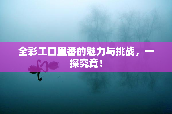 全彩工口里番的魅力与挑战，一探究竟！